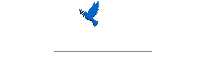 Wiener Institut für Dialog und Frieden